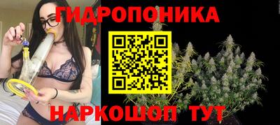 гашиш Новодвинск