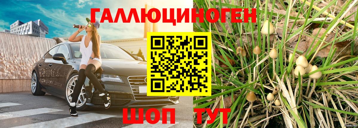 Галлюциногенные грибы ЛСД Севастополь