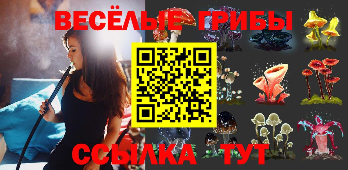 Севастополь  Псилоцибиновые грибы Psilocybe  Галлюциногенные грибы прущие грибы  что такое наркотик  Вход с VPN 